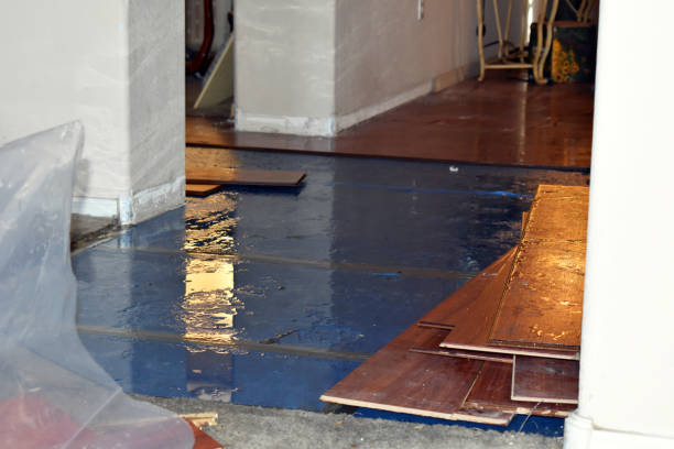Professional Burst Pipe Cleanup technician working in Seymour, TX